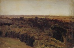Pouco Floresta