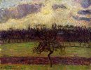 die Felder der eragny dem Apfelbaum 1894