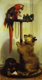 Macaw, pássaros do amor, Terrier e Spaniel Puppies, pertencendo