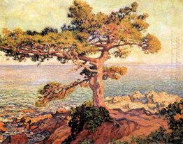 Tall vid Medelhavet 1916