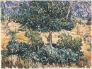 Árboles y Arbustos 1889 1