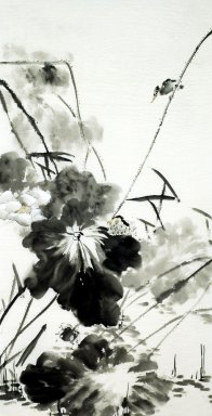 Lotus - peinture chinoise