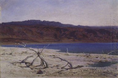 Mar Morto 1882