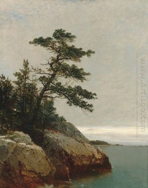 El viejo pino, Darien, Connecticut