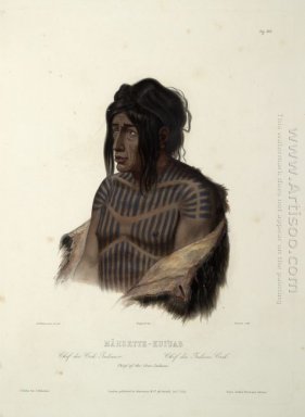 Mahsette-Kuiuab, Kepala Cree Indian, Piring 22 Dari Volume