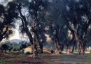Alberi d'oliva a Corfù 1909