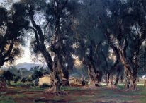 Olivträd den Korfu 1909