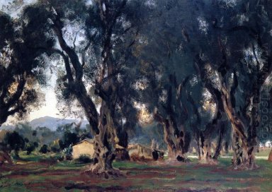 Оливковые деревья на Корфу 1909