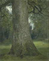 Studio del tronco di un albero di olmo 1821
