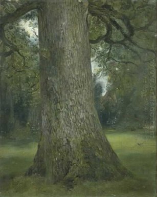 Studi Batang Pohon Elm 1821