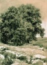 Crimea Nut Tree 1884