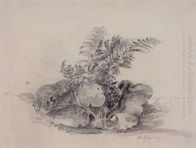 feuilles de fougère et de bardane 1854