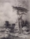 Oude grenen 1854