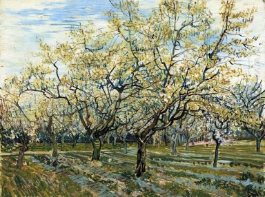 Orchard с цветущими сливы 1888