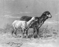 Ovelha e cordeiro