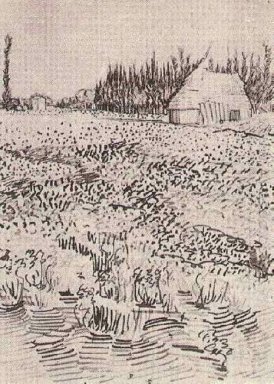 Paysage avec cabane en Camargue 1888