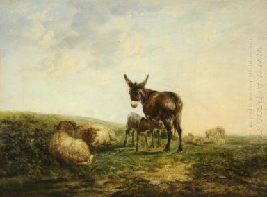 Burro y ovejas