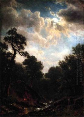 Bij maanlicht landschap