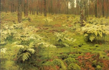 Ormbunkar i en skog 1895