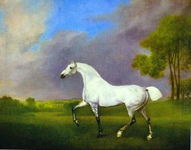 En grå häst
