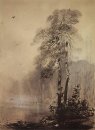 pinos en la orilla del lago de 1890