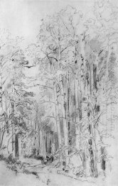 Aspen On The Way To Kivach 1889