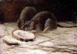 Dua Tikus 1884