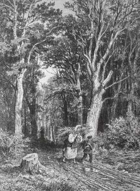 De Weg In Bos 1869