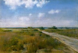 Shinnecock Paisagem 2