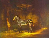 Zebra 1763
