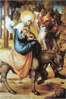 o vôo para o Egito softwood 1497