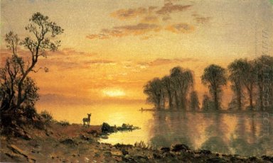 coucher du soleil cerf et de la rivière