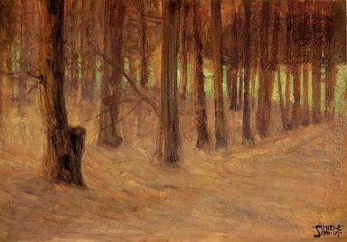 skog med solbelyst glänta i bakgrunden 1907