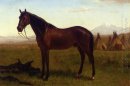 Portrait d'un cheval 1869