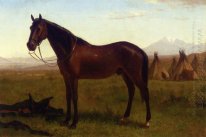 Retrato de um cavalo 1869