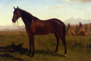 portrait of a horse 1869