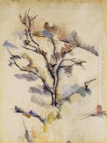 O Oak 1885