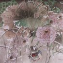 Lotus - pintura chinesa