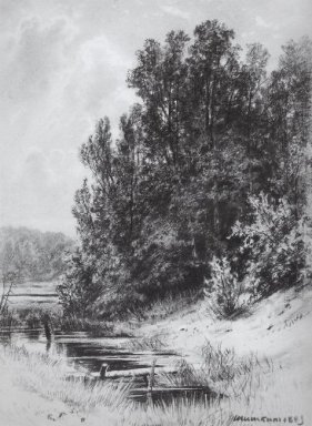 Flusso 1883