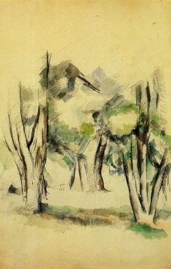 Alberi 1884