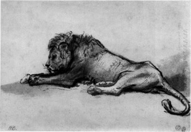 Lion Riposo 1652 1