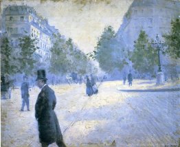 Placera Väder Saint Augustin Misty