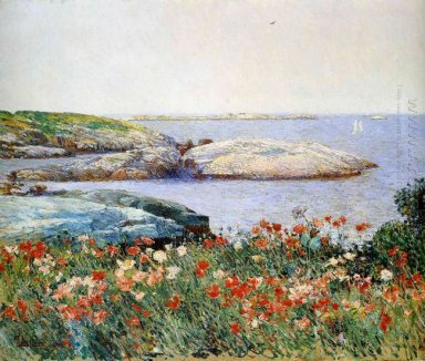 Poppies Isole Shoals 1