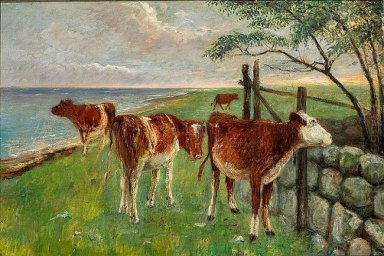 Bestiame vicino un cancello, Saltholm