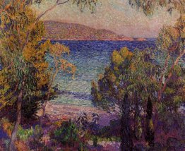 Pines Dan Eucalyptus Di Cavelieri 1905