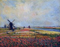 Los campos de flores y molinos de viento cerca Leiden
