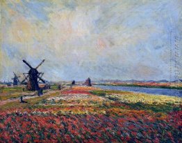 Campos de flores e moinhos de vento perto de Leiden