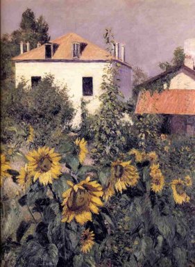 Sunflowers In The Garden At Petit Gennevilliers