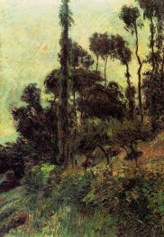 encosta 1884