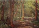 Road Forest 1892